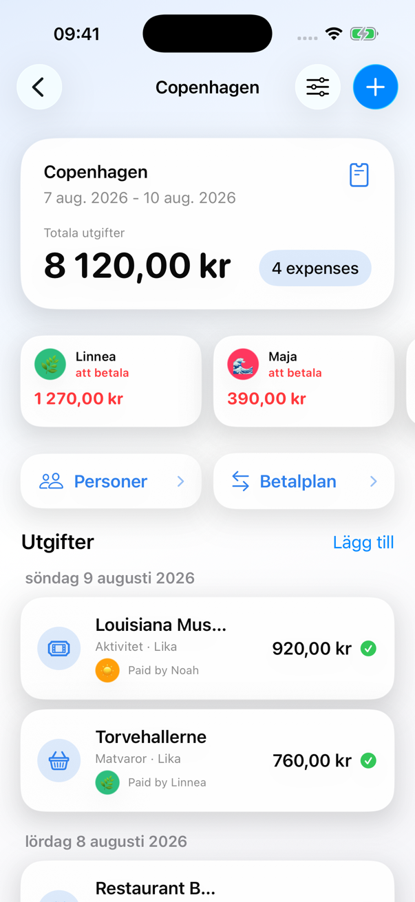 En ifylld Köpenhamnsgrupp i Nettat med fyra utgifter och deltagarsaldon