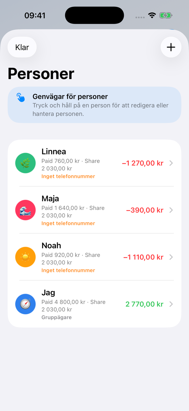Nettats personvy med betalda belopp, andelar och saldon
